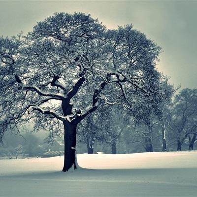 博鱼电子竞技官网app